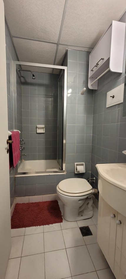 PALERMO, Depto. 1 amb dividido. AMOBLADO, c/ elctrodomesticos.  2o piso, interno, IMPECABLE. Billinghurst y Paraguay. 