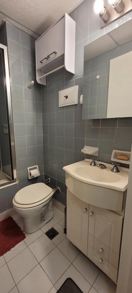PALERMO, Depto. 1 amb dividido. AMOBLADO, c/ elctrodomesticos.  2o piso, interno, IMPECABLE. Billinghurst y Paraguay. 